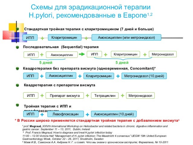 Схема по эрадикации helicobacter pylori Схема по эрадикации helicobacter pylori